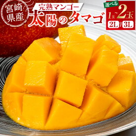 【ふるさと納税】《2026年発送 先行予約》【選べる内容量】【数量・期間限定】宮崎特産品 宮崎県産完熟マンゴー 太陽のタマゴ マンゴー 完熟マンゴー 完熟 果物 フルーツ デザート スイーツ 果肉 南国フルーツ 特産品 名物 ご当地グルメ グルメ お取り寄せ 宮崎県 宮崎市
