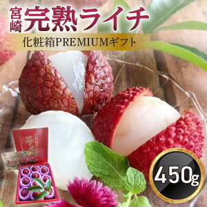 yӂ邳Ɣ[Łzs2026N s\tyʁEԌz{芮nC`ϔPREMIUMMtg ʕ ʎ ʓ t[c tbVC` 썑 {茧Y n C` 450g ① ϔ PREMIUM 