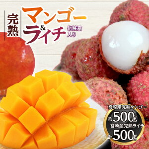 yӂ邳Ɣ[Łzs2026N s\tyʁEԌz{}S[4L×1E{胉C`12 ʕ ʎ t[c gsJt[c PREMIUM ݂₴uh {茧Y n }S[ 