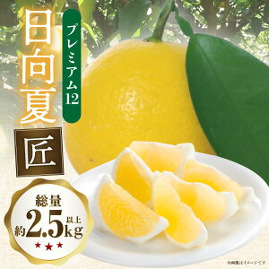 yӂ邳Ɣ[Łzs2026N s\tyʁEԌzāuvv~A12 t[c ʕ k k kn ʔ ʏ` ʓ Yi {Yi ① ①z O  