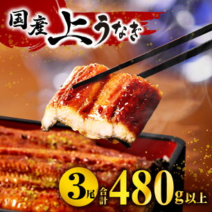 【ふるさと納税】九州産 うなぎ蒲焼 3尾（計480g以上＆さんしょう、たれ付...