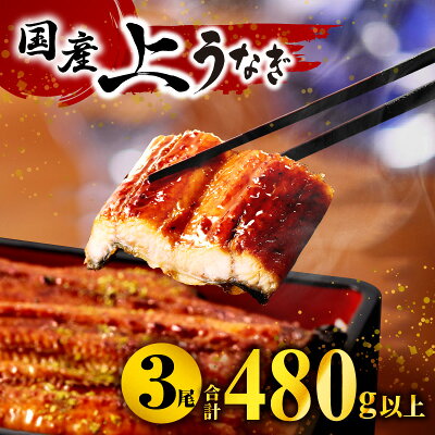 【ふるさと納税】九州産 うなぎ蒲焼 3尾（計480g以上＆さんしょう、たれ付...