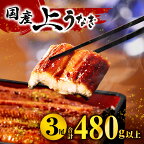 《レビューキャンペーン》 鰻 国産 たれ うなぎ 蒲焼 3尾(計480g以上) 鰻蒲焼 ウナギ蒲焼用たれ さんしょうのセット(うなぎ1尾160g以上の鰻3尾からなるウナギの詰め合わせ) 上 土用 丑の日 ギフト 冷凍 グルメ 惣菜 人気 養殖 宮崎市 送料無料