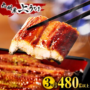 《ランクイン多数！》高評価★4.79 うなぎ蒲焼 3尾(計...
