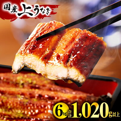 鰻楽国産うなぎ蒲焼 6尾