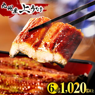 九州産うなぎ蒲焼6尾(計1,020g＆さんしょう、たれ付き...