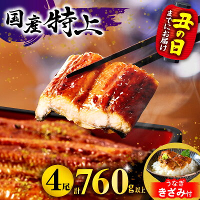 【ふるさと納税】総合ランキング1位【期間・数量限定・丑の日（2025年7月1...