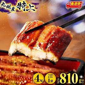【ふるさと納税】【総合1位・ジャンル1位】九州産うなぎ蒲焼4尾・うなぎ蒲焼きざみ1袋 計810g以上 国産 うなぎ 蒲焼き 4尾 鰻蒲焼き 国産うなぎ 特上うなぎ 小分け パック 化粧箱入り お祝い 内祝い ランキング 冬うなぎ おすすめ 人気 鰻楽 宮崎県 宮崎市 宮崎 ふるさと