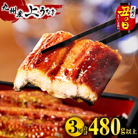 【ふるさと納税】《ランクイン多数！》高評価★4.78 【丑の日までにお届け...