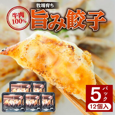 牧場育ち牛肉100％旨み餃子（餃子12個パック×5）