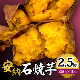 【ふるさと納税】安納石焼芋 10袋セット 石焼 安納芋 芋 石焼芋 サツマイモ デザート 幻の芋 糖度 20度 黄金色 口当たり 和菓子 冷凍 甘い スイーツ グルメ お取り寄せ 宮崎県 宮崎市 送料無料