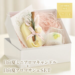 yӂ邳Ɣ[Łz kn hCt[ r[YbNX \CbNX ~j A} Lh TVF tOXIC SET Zbg {Y Y Yi 蕨 Mtg lC {