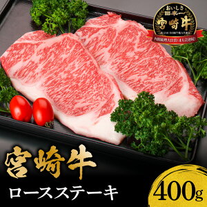 yӂ邳Ɣ[Łztb 4A {苍 [X Xe[L 400g   Y  јa [X [XXe[L ē BBQ T[C u[X TV Ԑg  _炩