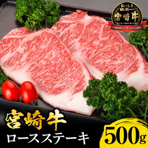 【ふるさと納税】宮崎牛 ロース ステーキ 500g 内閣総理大臣賞 4連続受賞 牛肉 肉 お肉 国産牛 牛 黒毛和牛 牛ロース ロースステーキ 焼肉 BBQ サーロイン リブロース サシ 赤身 おかず 柔らか
