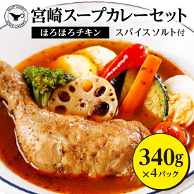 【ふるさと納税】宮崎 スープ カレー セット スープカレー ほろほろ チキン 真空 冷凍 パック 真空パック スパイス ソルト 地頭鶏だし 地頭鶏 みやざき地頭鶏 万能スパイス 骨付きチキン 丸ごと1本 オリジナルスパイス グルメ お取り寄せ 宮崎県 宮崎市 送料無料