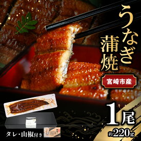 【ふるさと納税】宮崎県 宮崎市産 うなぎの蒲焼 約220g 約220g×1尾 タレ 山椒 セット うなぎ 蒲焼き うなぎ蒲焼き タレ付き 山椒付き 加工品 加工食品 惣菜 お惣菜 おかず グルメ おすすめ お取り寄せ お取り寄せグルメ ギフト 贈り物 ご褒美 宮崎県 宮崎市 送料無料