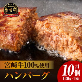 【ふるさと納税】宮崎牛100％ハンバーグ 牛肉100％ 牛肉ハンバーグ 牛ハンバーグ ハンバーグ 宮崎牛 牛肉 肉 お肉 惣菜 お惣菜 おかず お弁当 使い勝手 普段使い 夕食 グルメ お取り寄せ 小分け パック 冷凍 牛 100％ アレンジ ハンバーガー 宮崎県 宮崎市 送料無料
