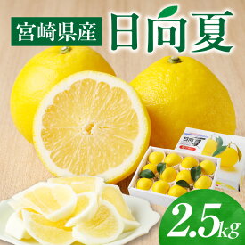 【ふるさと納税】《2026年発送 先行予約》【数量・期間限定】宮崎県産日向夏 2.5kg 化粧箱入り 果物 フルーツ 果実 青果物 生鮮食品 柑橘 柑橘類 デザート スイーツ 化粧箱 贈答 贈答用 プレゼント ギフト お歳暮 お中元 お祝い 内祝い グルメ お取り寄せ 宮崎県 宮崎市