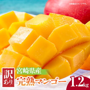 yӂ邳Ɣ[Łzs2026N s\tyʁEԌz{茧Y 󂠂芮n}S[ 1.2kg ʕ t[c ʎ ʓ ʕ _Y fU[g XC[c J   O