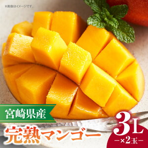 yӂ邳Ɣ[Łzs2026N s\tyʁEԌz{茧Yn}S[ 3L×2 ʕ t[c ʎ ʓ ʕ _Y fU[g XC[c J  蕨 Mtg 