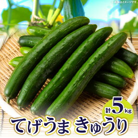【ふるさと納税】《2026年～2027年発送 先行予約》てげうま きゅうり 5kg ひなたGAP 宮崎県産 国産 野菜 生野菜 胡瓜 ウリ科 旬 新鮮 料理 アレンジ サラダ 漬物 酢の物 炒め物 きゅうりキムチ 冷やし中華 バンバンジー おつまみ おすそ分け 贈り物 ギフト 冷蔵 宮崎市