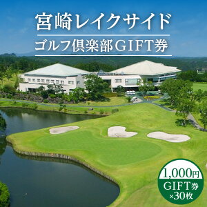 yӂ邳Ɣ[Łz{背CNTChSty GIFT 1000~ GIFT ×30 St v[  `Pbg Mtg St H `sIR[X Mtg 蕨  s ό n 