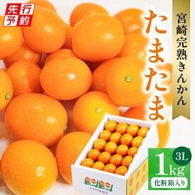 【ふるさと納税】【先行予約】【期間・数量限定】宮崎完熟きんかん たまたま きんかん きんかんたまたま 完熟きんかん 果物 フルーツ 青果物 スイーツ デザート 宮崎県産 国産 化粧箱入り 化粧箱 贈答 贈り物 ギフト プレゼント 旬のフルーツ 季節のフルーツ 旬の果物