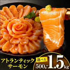 【ふるさと納税】【選べる内容量】アトランティックサーモン サーモン シャケ 鮭 小分け パック 真空パック 骨なし 魚 魚介 魚介類 魚貝類 刺身 お刺身 海鮮 海鮮丼 おもてなし 人気 おすすめ 冷凍 ギフト 贈答 贈り物 ふるさと 宮崎県 宮崎市