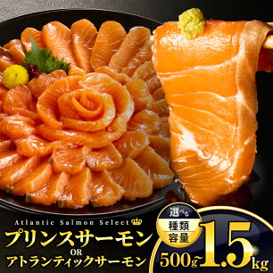 【ふるさと納税】【種類・内容量・発送時期が選べる】プリンスサーモン or ア...