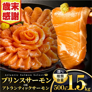 【ふるさと納税】【歳末感謝】【種類・内容量・発送時期が選べる】アトランティッ...