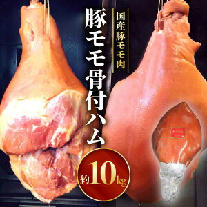 yӂ邳Ɣ[Łz  t n Y ؓ {Cn  ؃ X[N n t t 10kg Yؓ Y ` ① O  񂹃O {茧 {s 