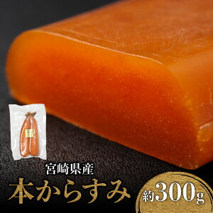 yӂ邳Ɣ[Łz{茧Y{炷 300g 炷 {   Ђ |  AW   ^q ϔ ϔ Mtg J 蕨  p   ܂ 