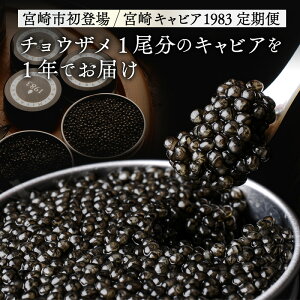 yӂ邳Ɣ[Łzy֑S4z`EU1̃LrA1Nł͂ 600g(100g×2 200g×2) {LrA1983 LrA `EU   ≖ n   蕨 Mtg v