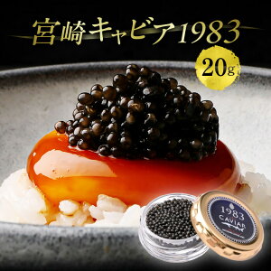 yӂ邳Ɣ[Łz {LrA1983 (20g) YLrA  Mtg  {inLrA LrA}CX^[ ɐuT~bg LrA  蕨 v[g p ϔ ϔ 