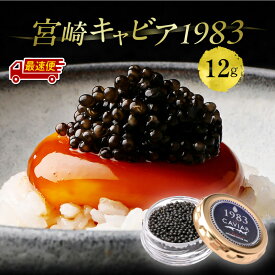 【ふるさと納税】【日時指定可能】宮崎キャビア1983 (12g) 魚卵 本格熟成キャビア チョウザメ キャビアマイスター 国産キャビア 国際線ファーストクラス 伊勢志摩サミット 贈答 贈り物 ギフト 贈答用 プレゼント 化粧箱入り 化粧箱 人気 宮崎県 宮崎市
