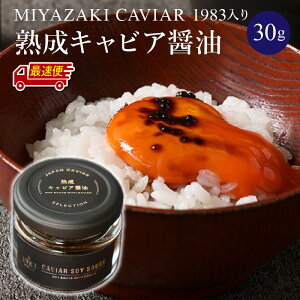 yӂ邳Ɣ[Łzyw\znLrAݖ(30g) MIYAZAKI CAVIAR 1983 Y F |  n  `EU z  I LO j Mtg  v[g 