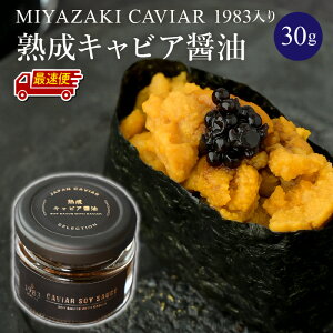 yӂ邳Ɣ[Łzyw\znLrAݖ(30g) MIYAZAKI CAVIAR 1983 Y F |  n  `EU z  I LO j Mtg  v[g 