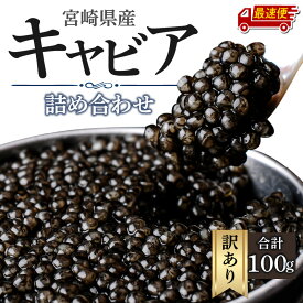 【ふるさと納税】【日時指定可能】訳あり 宮崎県産 キャビア 本格熟成 フレッシュキャビア 厳選 詰め合わせ 合計 100g シロチョウザメ シベリアチョウザメ ベステルチョウザメ ロシアチョウザメ おすそ分け 水産品 加工品 グルメ お取り寄せ おすすめ 宮崎県 宮崎市 送料無料
