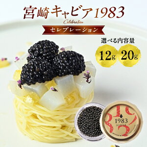 yӂ邳Ɣ[ŁzyIׂeʁz{LrA1983 Zu[V {in tbVLrA   I 12g 20g `EU v[g Mtg 蕨  p j Ԃ 