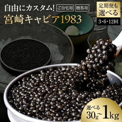 宮崎キャビア1983