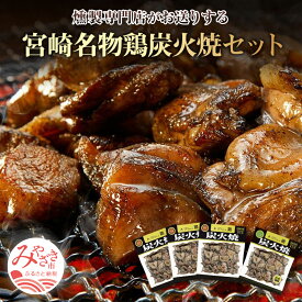 【ふるさと納税】宮崎名物鶏炭火焼セット（鶏炭火焼、鶏炭火焼ソフトタイプ） 人気 真空パック 看板製品 冷蔵 お肉 国産 食品 畜産物 宮崎県 宮崎市 送料無料