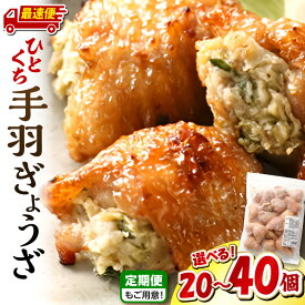 【ふるさと納税】【内容量・発送時期が選べる・定期便】ひとくち 手羽 ぎょうざ 20個(1パック)or40個(2パック)餃子 手羽 肉 お肉 手羽先 手羽餃子 宮崎餃子 グルメ おすすめ 惣菜 お惣菜 おかず お弁当 使い勝手 簡単調理 時短調理 名物 ふるさと 冷凍 宮崎県 宮崎市