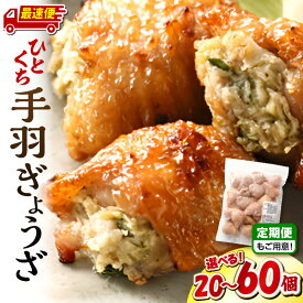 【ふるさと納税】【内容量・発送時期が選べる・定期便】ひとくち 手羽 ぎょうざ 20個(1パック)or40個(2パック)or60個(3パック) 餃子 手羽 肉 お肉 手羽先 手羽餃子 宮崎餃子 グルメ おすすめ 惣菜 おかず お弁当 時短調理 名物 宮崎名物 ご当地グルメ ふるさと 冷凍 宮崎市