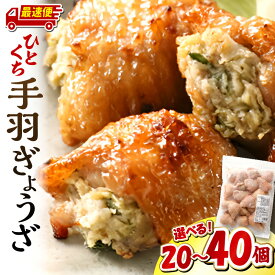 【ふるさと納税】【容量・発送時期が選べる】ひとくち 手羽 ぎょうざ 20個入り 40個入り 餃子 手羽 肉 お肉 手羽先 手羽餃子 宮崎餃子 ご当地 グルメ ご当地グルメ おつまみ おかず おすすめ 惣菜 お惣菜 食品 加工食品 加工品 名物宮崎市《レビューキャンペーン》