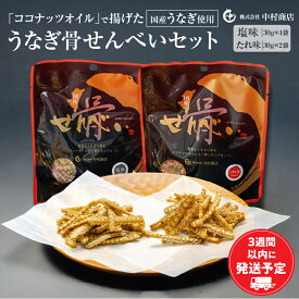 【ふるさと納税】国産うなぎ使用 うなぎ骨せんべいセット(骨せんべい(塩味30g)×4袋・骨せんべい(たれ味30g)×2袋) 水 空気 佐土原町 品質管理 ヘルシー 骨せんべい 1袋 カルシウム たれ味 冬うなぎ 宮崎県 宮崎市 送料無料