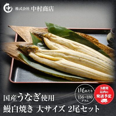 中村商店鰻白焼き大2尾・肝焼きセット
