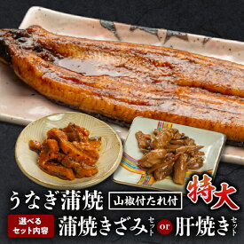 【ふるさと納税】【選べるセット内容・発送時期】国産うなぎ蒲焼(特大サイズ)セット うなぎ 鰻の蒲焼 蒲焼 うなぎ蒲焼き きざみ 肝焼き うなぎきざみ セット 詰め合わせ 選べる 惣菜 お惣菜 おかず 贈答 贈り物 ギフト お歳暮 お中元 プレゼント 人気 水産物 海鮮 宮崎市
