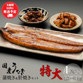 【ふるさと納税】国産うなぎ 蒲焼き 特大サイズ(181〜215g)・肝焼きセット たれ 旨味 凍結技術 自慢 国産鰻 希少 丁寧 お吸い物 さんしょう 空パック お土産 ギフト 鰻 宮崎県 宮崎市 送料無料