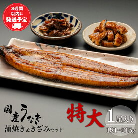 【ふるさと納税】国産うなぎ蒲焼き特大サイズ(181〜215g)・蒲焼きざみセット 旨味 凍結技術 自慢 国産鰻 九州産 白焼き 料理 レンジ 湯煎 ご家族 お吸い物 さんしょう たれ お土産 ギフト 宮崎県 宮崎市 送料無料