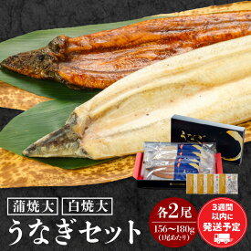 【ふるさと納税】白焼大 蒲焼大 各2尾 セット 国産ウナギ 国産 詰め合わせ 食べ比べ うなぎ 鰻の蒲焼き 蒲焼き 白焼き 大サイズ サイズ おかず 惣菜 ギフト 贈り物 グルメ 化粧箱 化粧箱入り たれ 塩 簡単調理 お取り寄せ 急速冷凍 冷凍 水産物 海鮮 宮崎県 宮崎市 送料無料